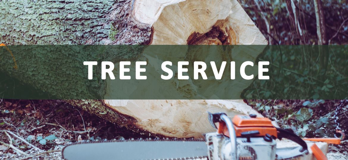 Tree Service Taking Payments