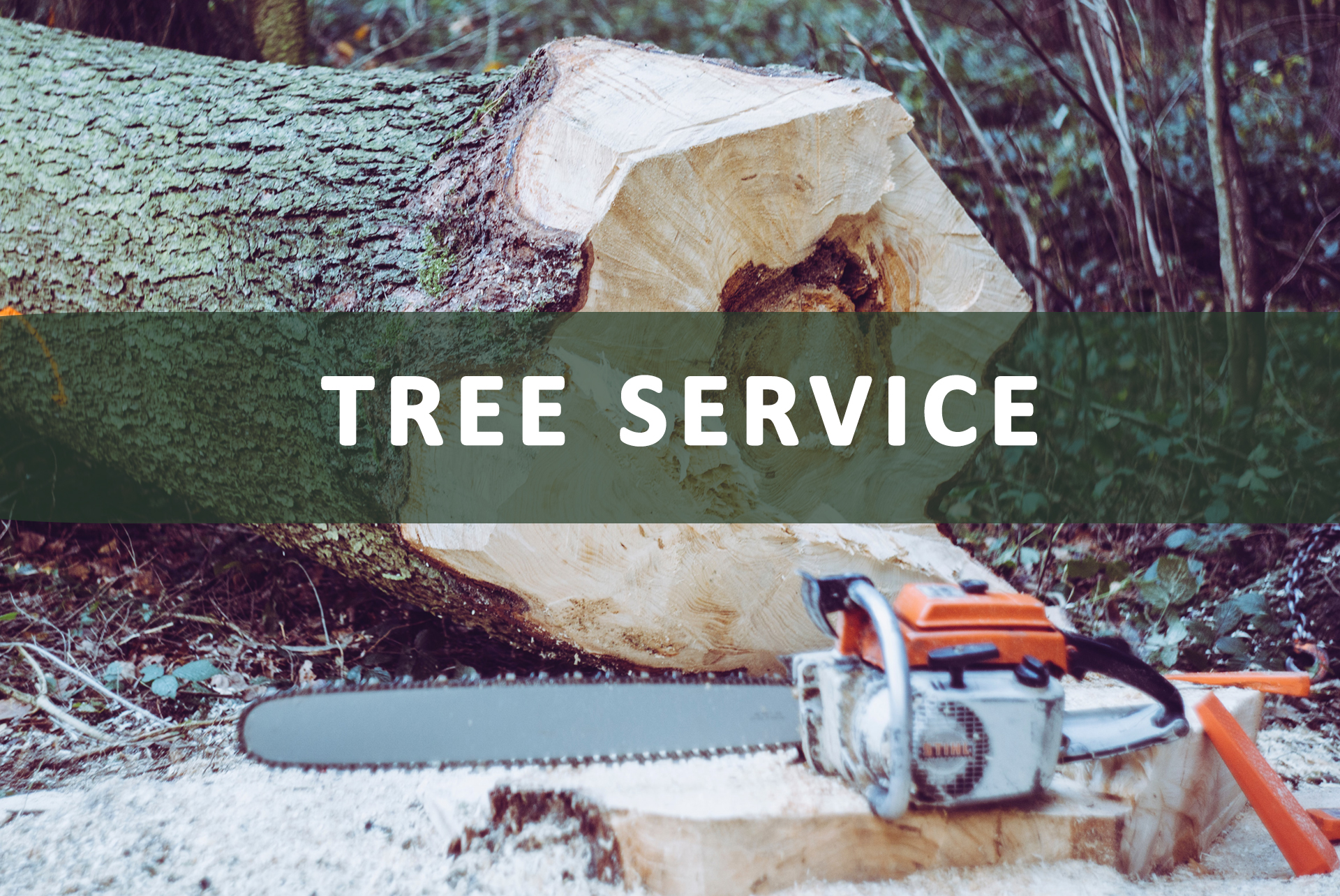 Tree Services ToolBox Go